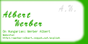 albert werber business card